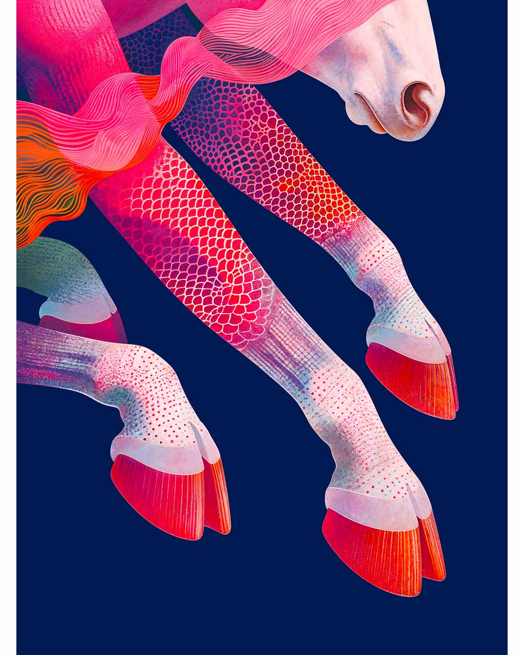 Close-up view of animal hooves on a dark surface.