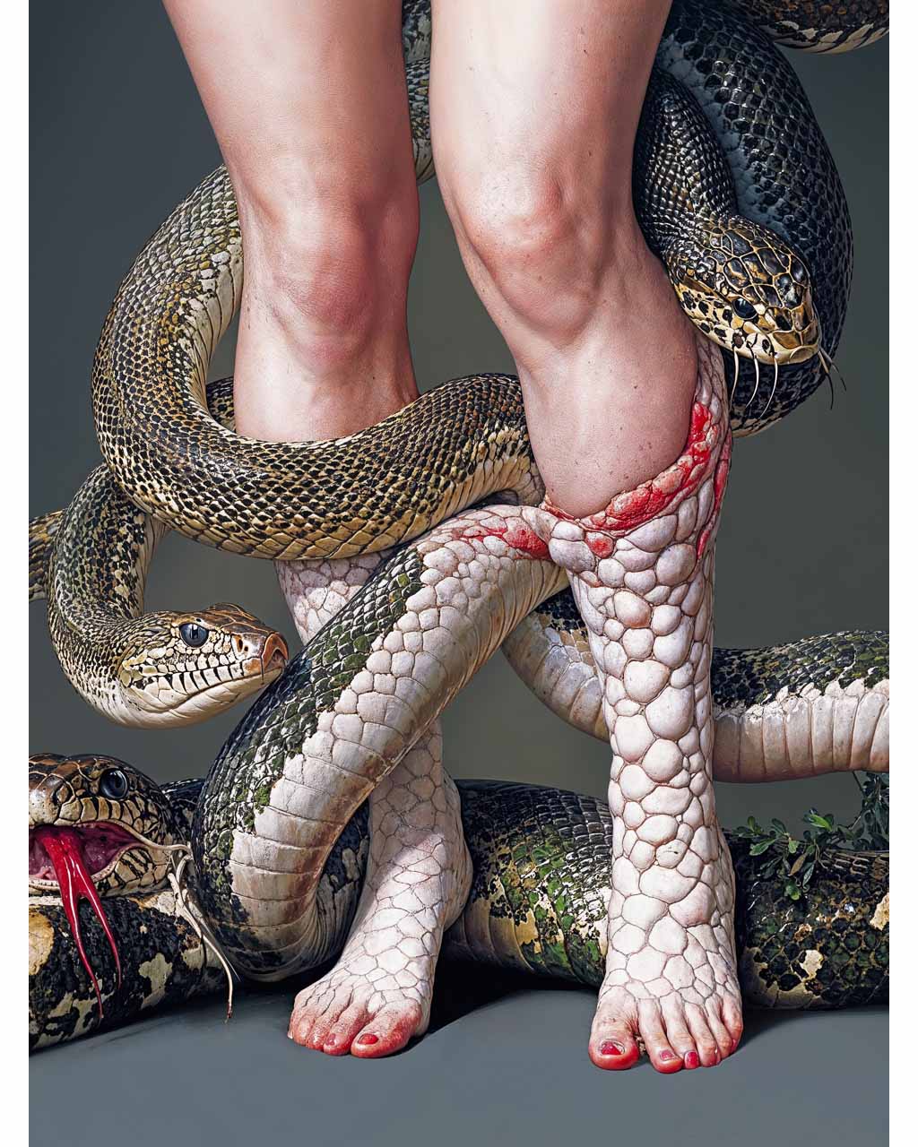 Snakefeet - Art Poster