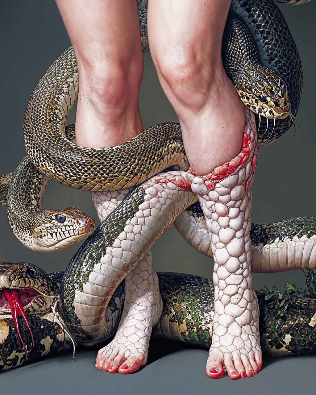 Snakefeet - Art Poster